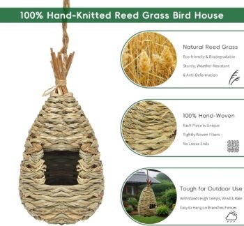 Hummingbird Houses