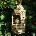 woven hummingbird house for outside hannging