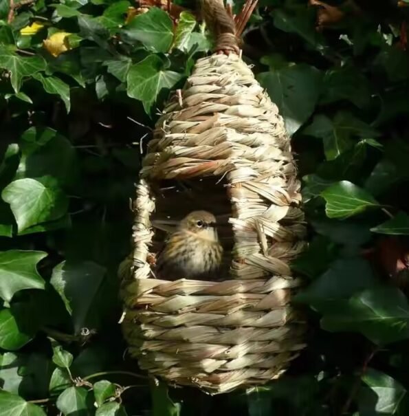 Hand Woven Natural Grass Bird Hut for Outdoor Hanging