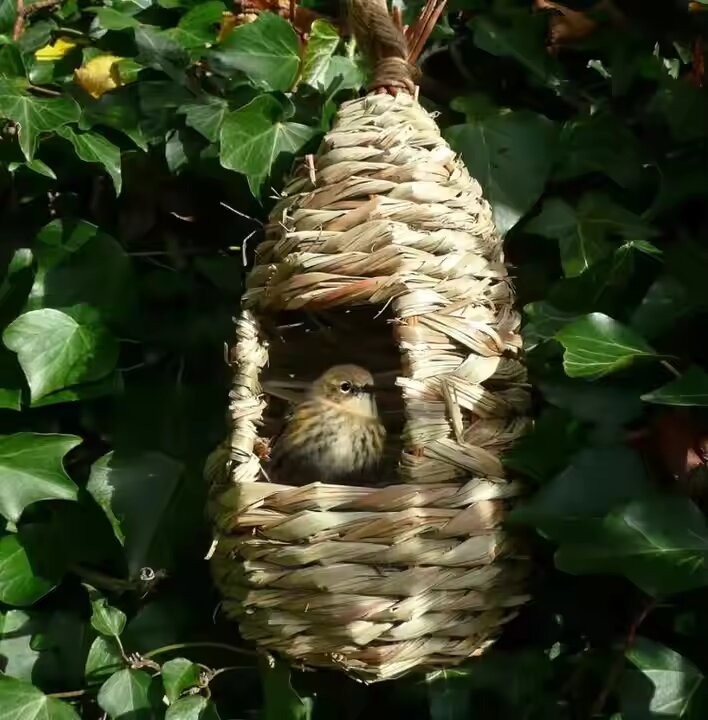Hand Woven Natural Grass Bird Hut for Outdoor Hanging Hand Woven Natural Grass Bird Hut for Outdoor Hanging