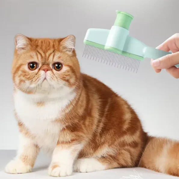 cat hair remover brush