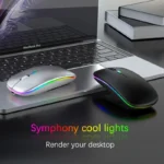 Rechargeable Bluetooth Wireless Mouse RGB 2.4GHz USB 1600DPI Gaming Mouse for Laptop PC MacBook Tablet